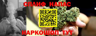 спиды Будённовск