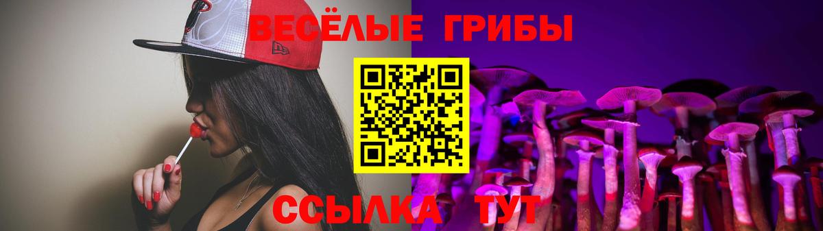 Галлюциногенные грибы мухоморы Барабинск